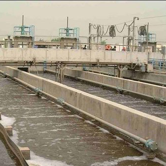 1596695698985987.jpg 1596695698985987.jpg