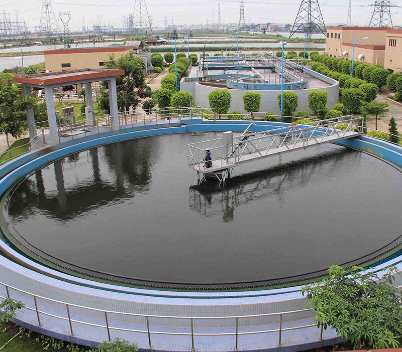 1596694793732185.jpg 1596694793732185.jpg